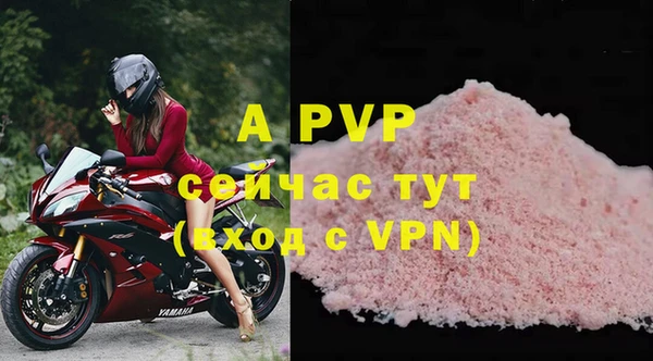 хмурый Горняк