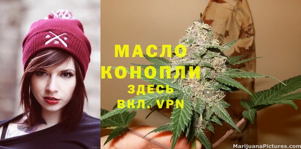 хмурый Горняк