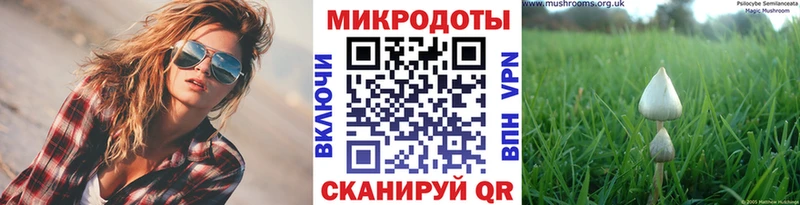 Галлюциногенные грибы Psilocybine cubensis гидра Железногорск-Илимский
